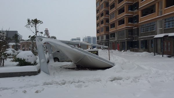 被積雪壓塌的車棚都有什么特點？